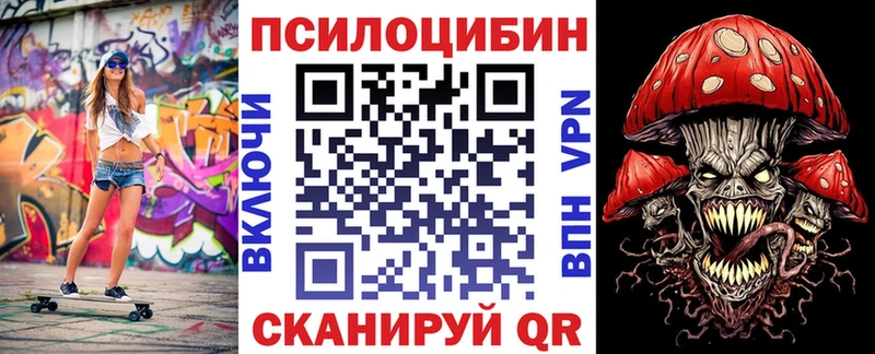 где можно купить   Киселёвск  Галлюциногенные грибы прущие грибы 